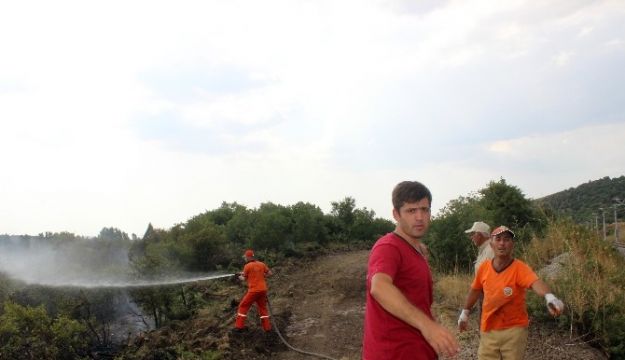 Tavşanlıda orman yangını kontrol altına alındı Kahramanmaraş Haber