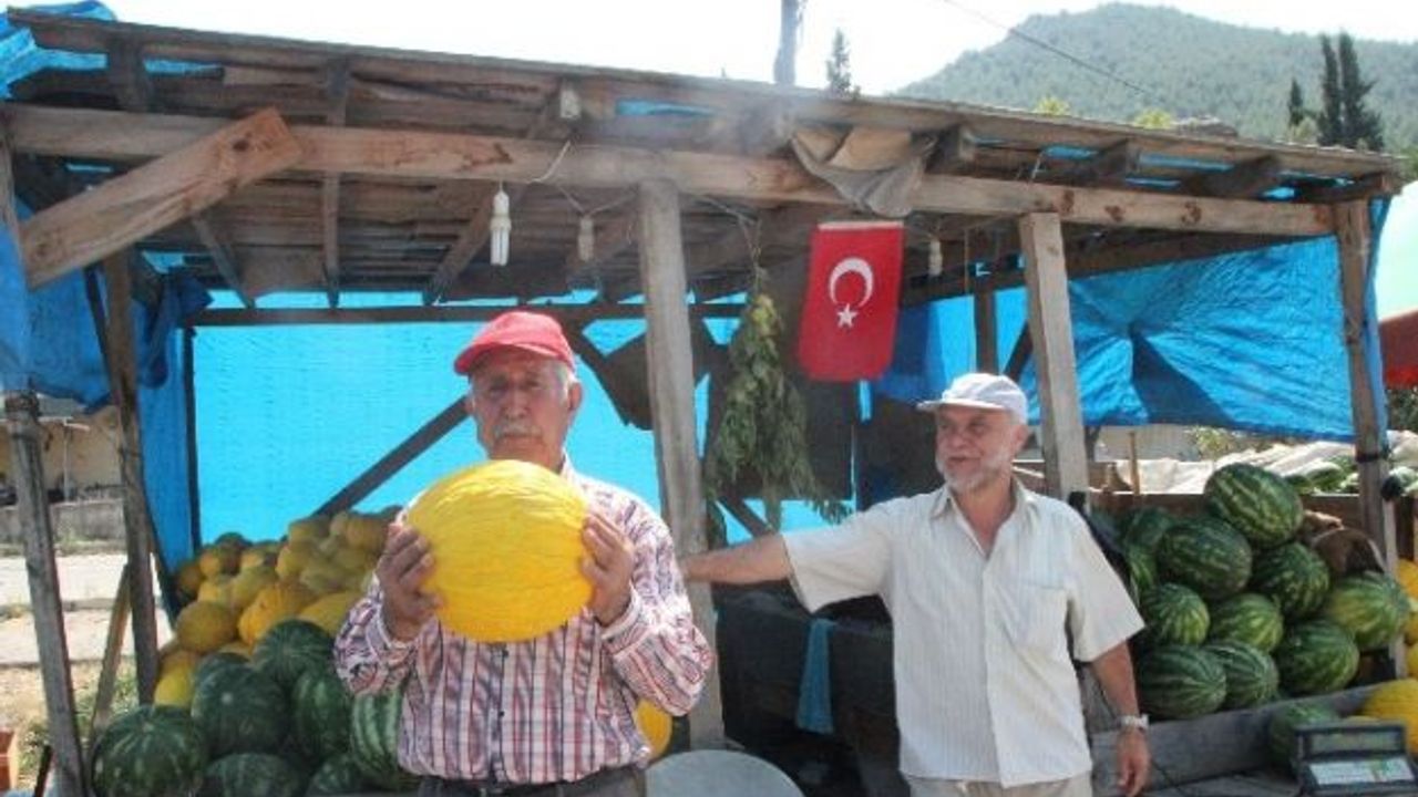Osmaneli’nde yerli karpuz ve kavun satışları çiftçinin yüzünü güldürdü