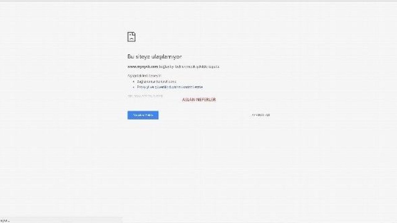 Aslan Neferler Tim ABD’nin DNS sunucularını hedef aldı