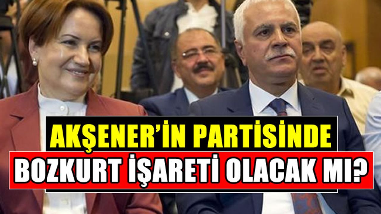 Meral Akşener'in partisinin adı amblemi ne olacak? Bozkurt işareti yapılacak mı?