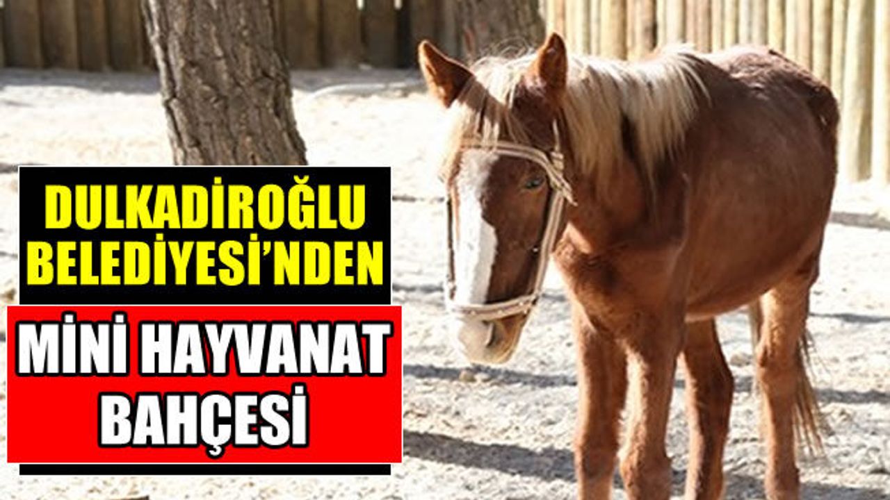 Dulkadiroğlu Belediyesi'nden Mini Hayvanat Bahçesi