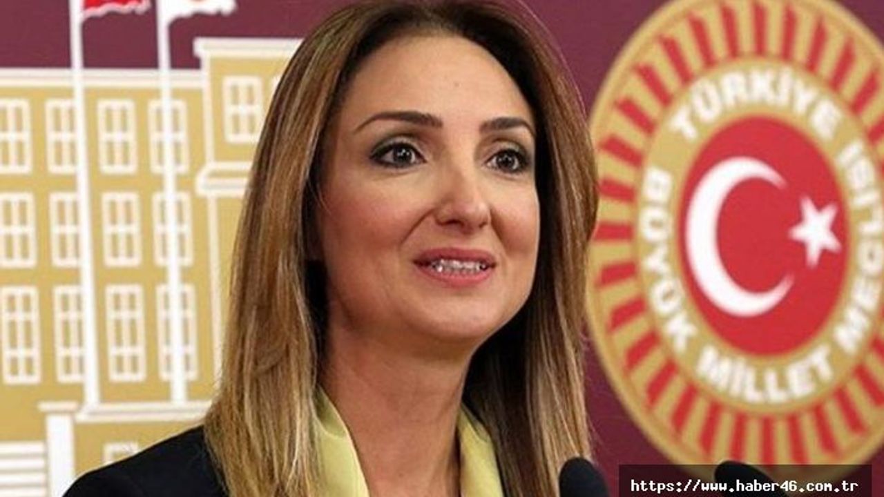 CHP'den ihraç edilen Aylin Nazlıaka hakkında flaş karar