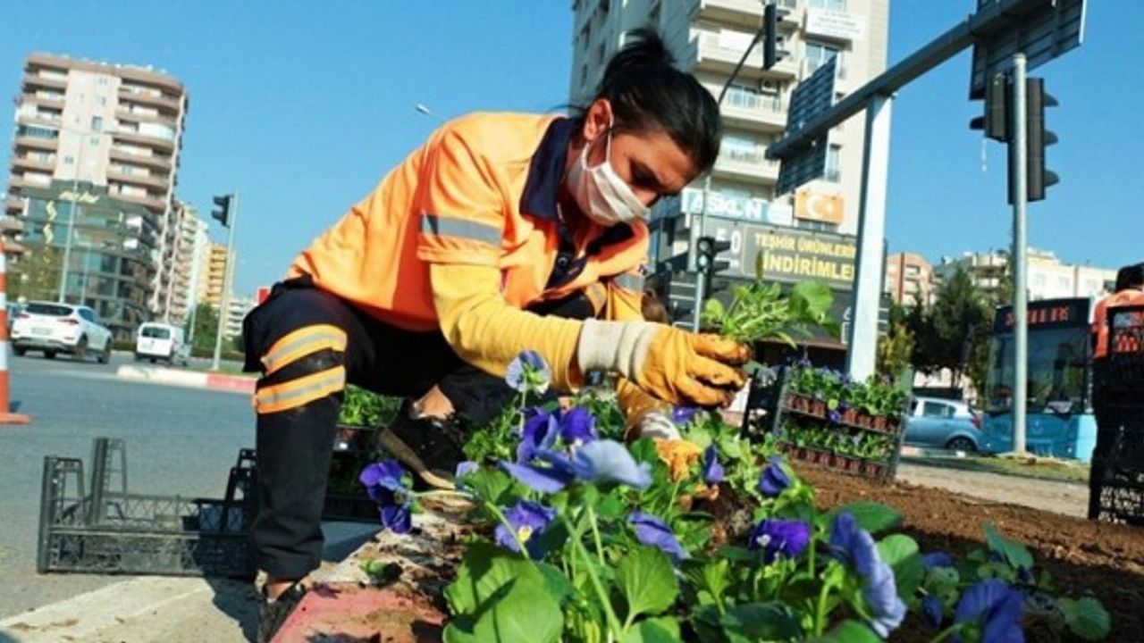 Mersin'de 430 bin 732 çiçek  toprakla buluştu!