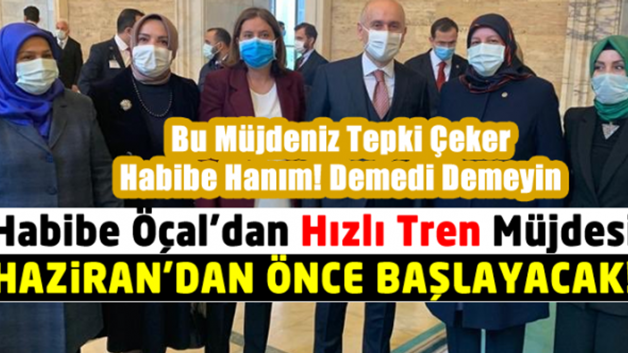 Habibe Öçal'dan hızlı tren açıklaması