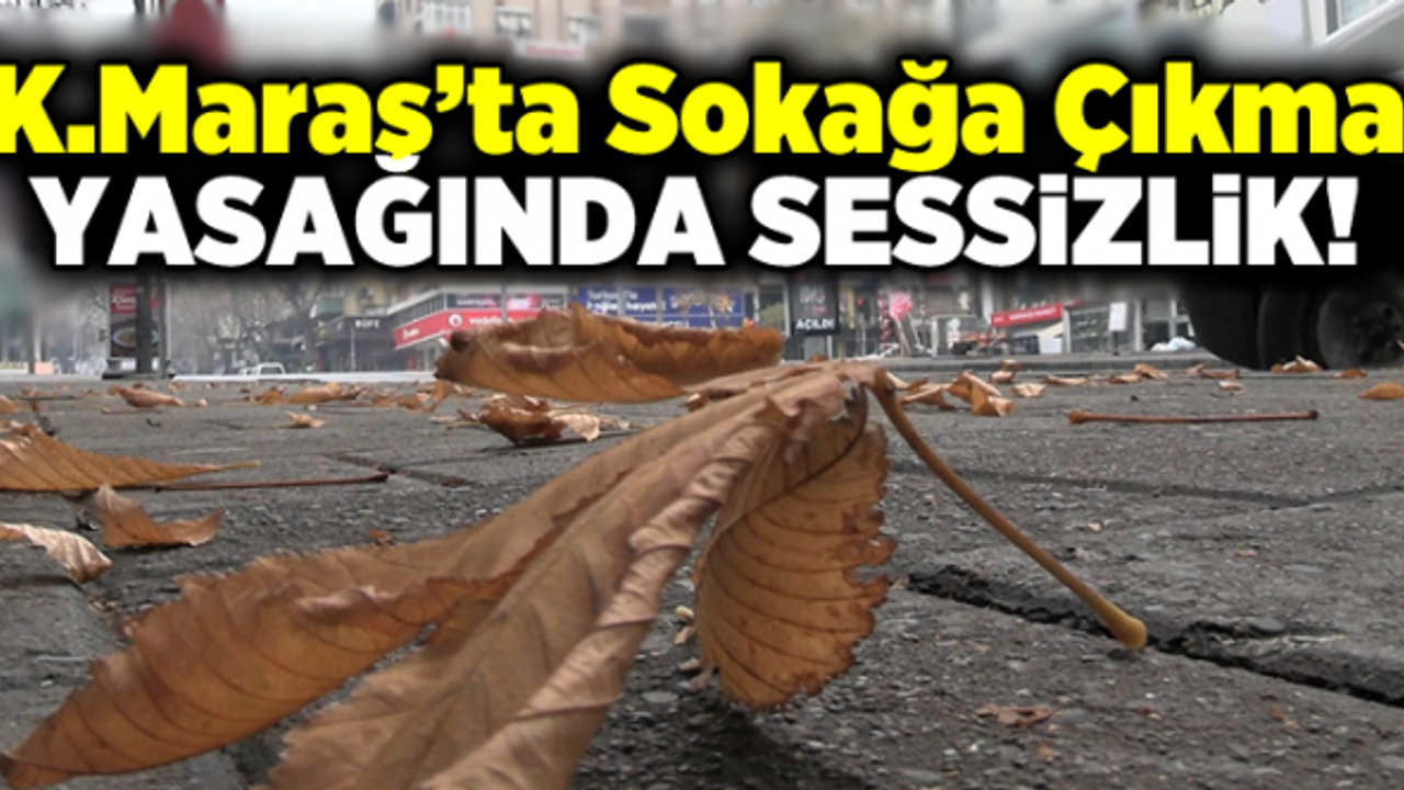 Kahramanmaraş'ta Sokağa Çıkma Yasağında Sessizlik!