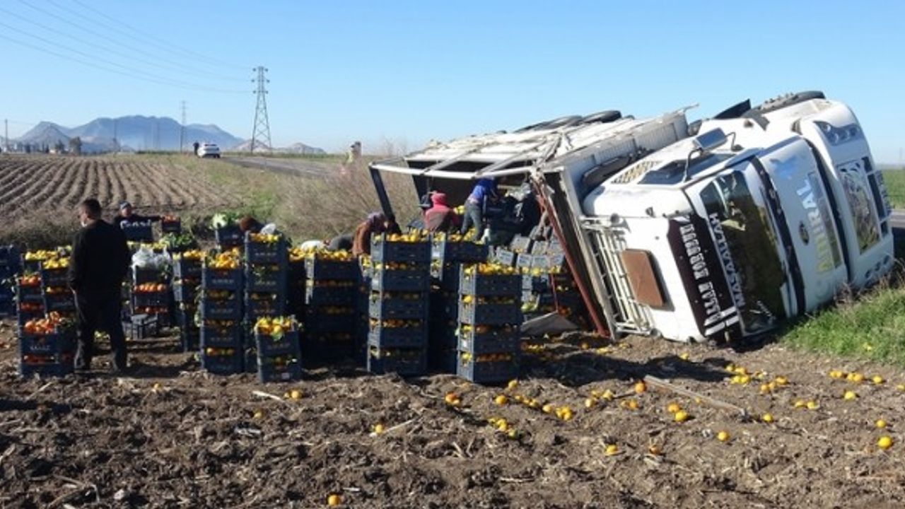 Adana'da meyve sebze yüklü kamyon devrildi: 1 yaralı
