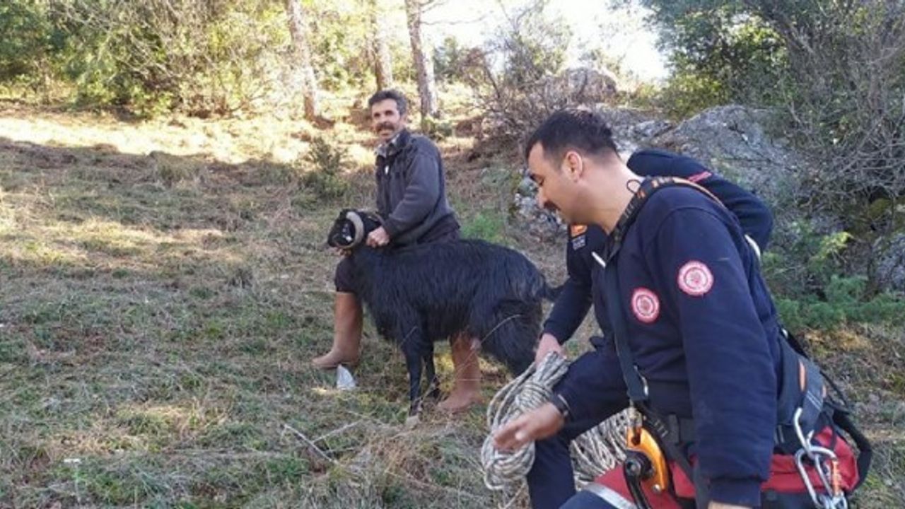 Kahramanmaraş'ta kayalıklarda mahsur kalan keçi kurtarıldı