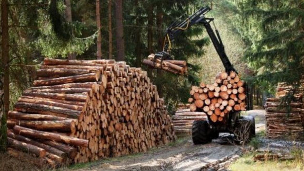 Ormancılık Faaliyetlerinde Çalıştırılması İçin 2 Bin Geçici İşçi Alınacak
