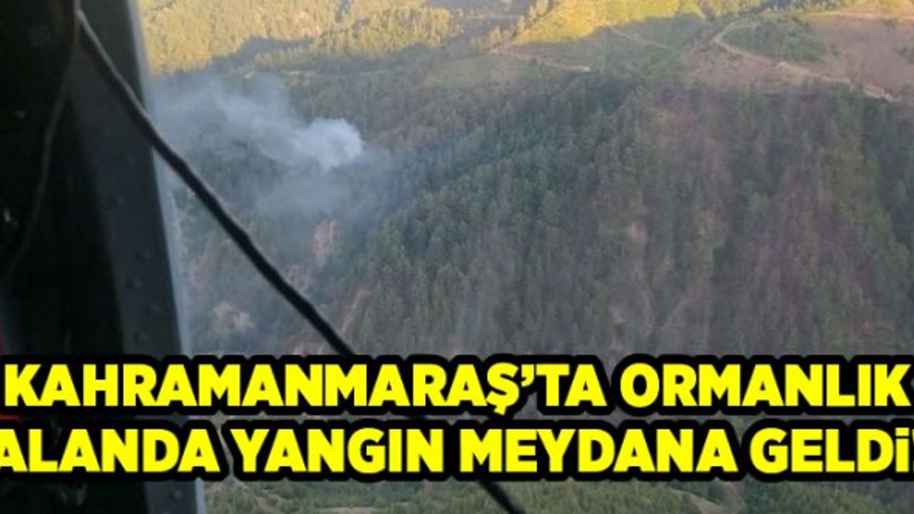 Kahramanmaraş'ta orman yangını kontrol altına alınmaya çalışılıyor!