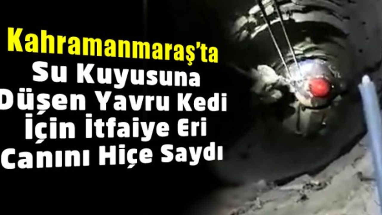 Kahramanmaraş'ta su kuyusuna düşen yavru kedi için itfaiye eri canını hiçe saydı