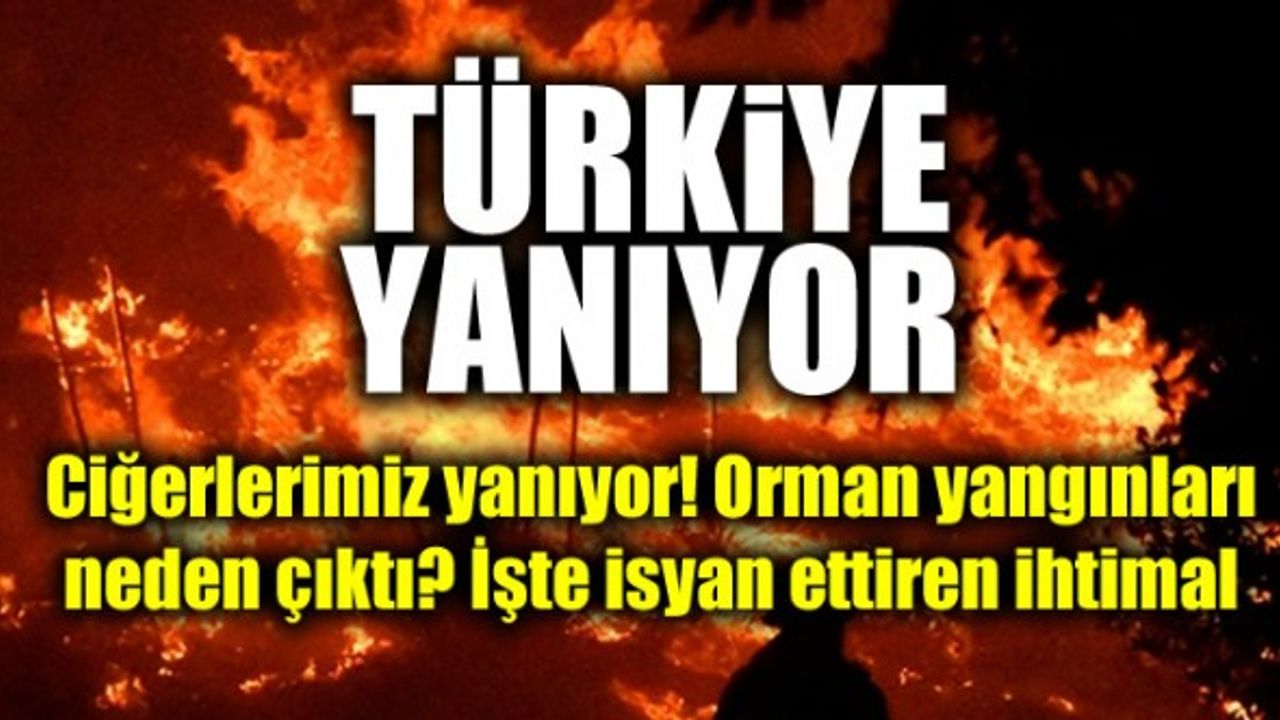 Ciğerlerimiz yanıyor! Türkiye Yanıyor Yangınlar Neden Çıktı?