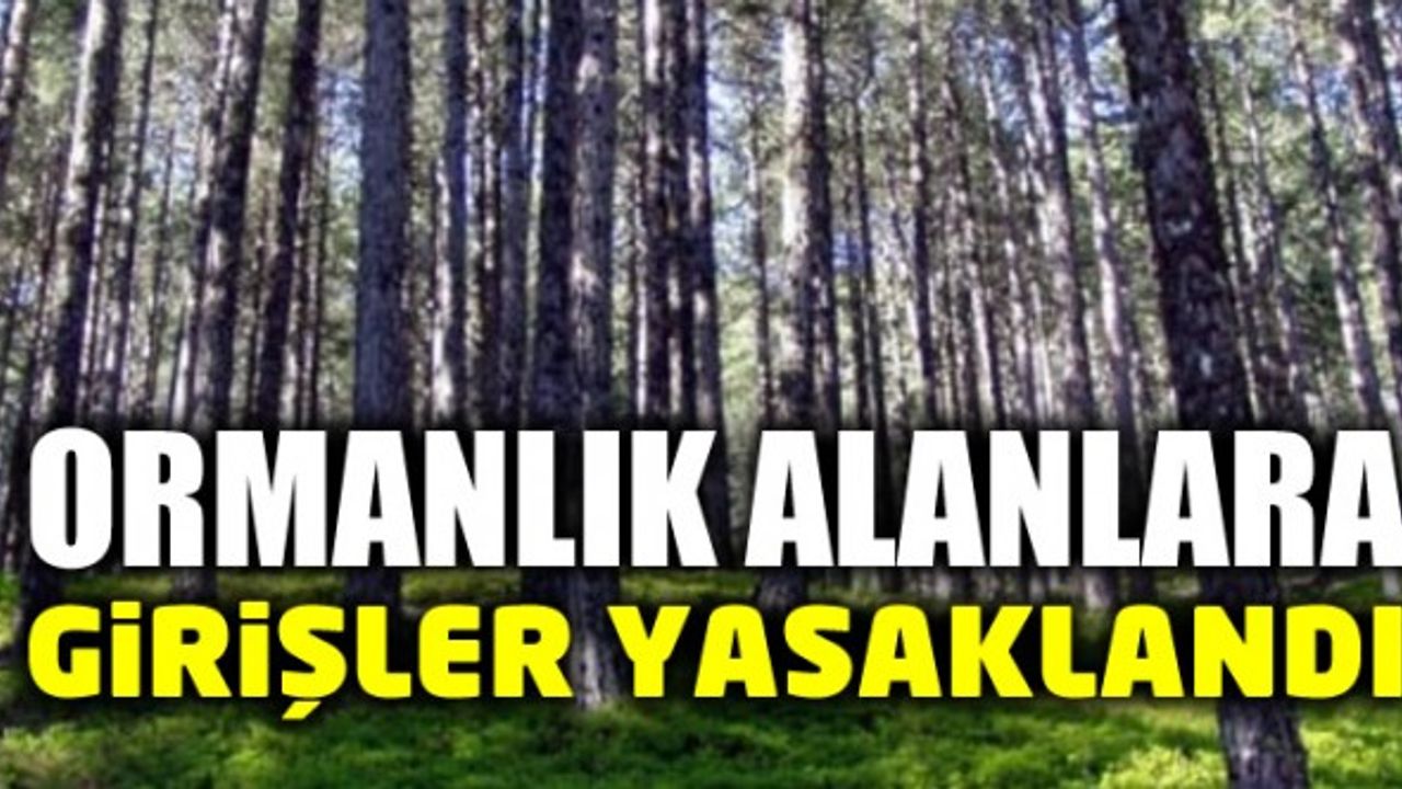 İzmir ve Balıkesir'de ormanlara girişler yasaklandı