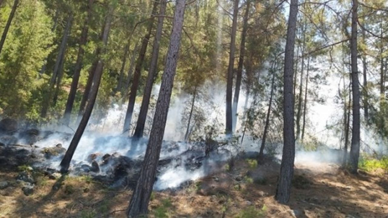 Antalya'da orman yangınlarına neden olan 7 turist tutuklandı!