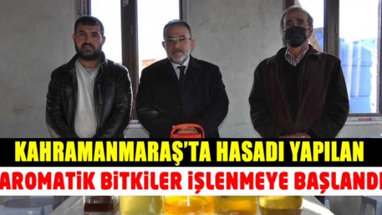 Kahramanmaraş'ta aromatik bitkiler çiftçilere hizmet veriyor!
