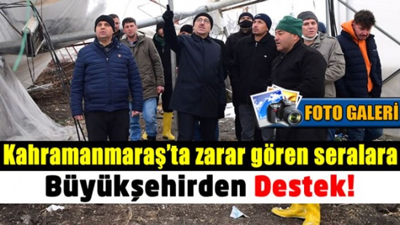 Kahramanmaraş'a karda zarar gören seralara Büyükşehirden destek