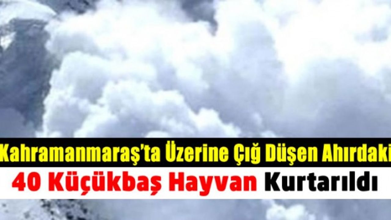 Kahramanmaraş'ta üzerine çığ düşen ahırdaki 40 hayvan kurtarıldı