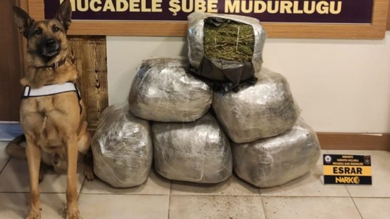 Osmaniye'de kamyonda sürücünün yatağına gizlenmiş 31 kilo 250 gram esrar bulundu.