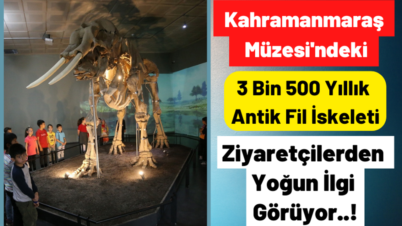  Kahramanmaraş Arkeoloji Müzesi Yıllık Ortalama 30 Bin Ziyaretçi Ağırlıyor!