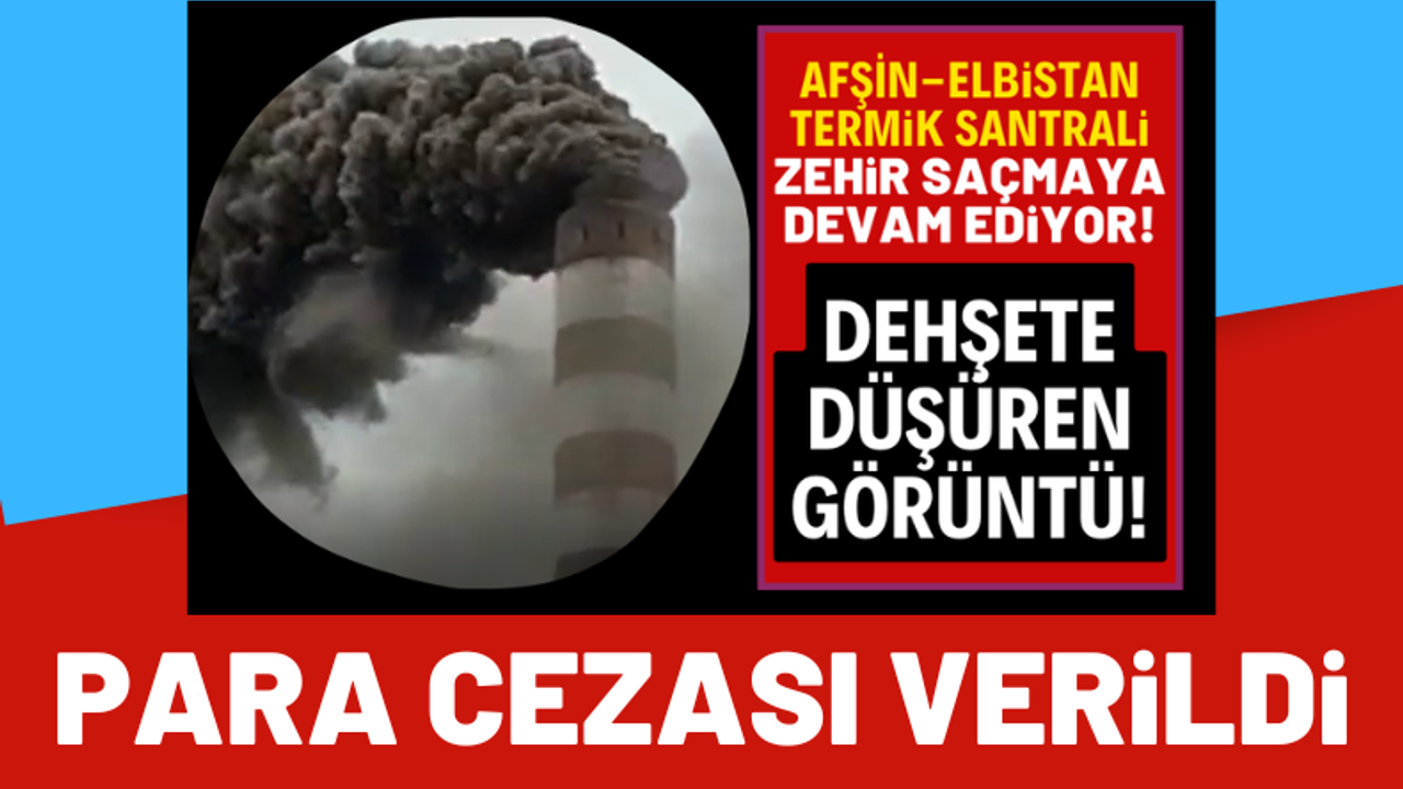 Kahramanmaraş'ta havayı kirleten termik santrale para cezası verildi