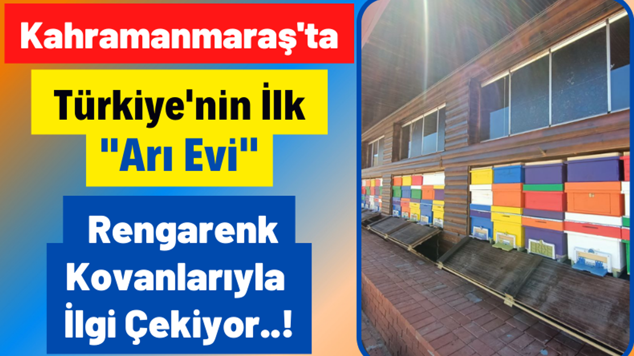 Afşin Belediye Başkanı Mehmet Fatih Güven: 'Türkiye'nin ilk arı evi açıldı'