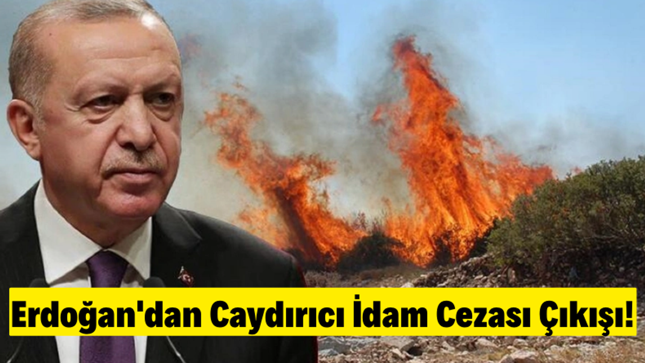 Cumhurbaşkanı Erdoğan Yangın Bölgesinde İdam Cezasının Sinyalini Verdi!