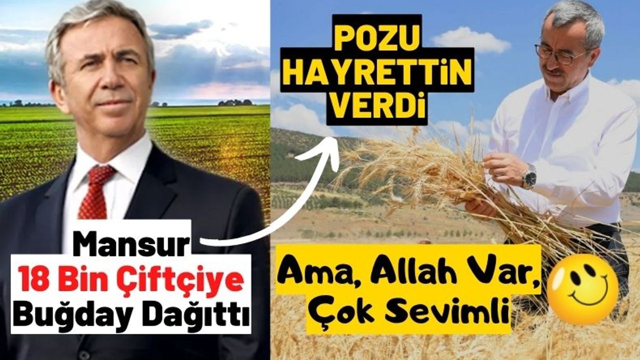 Mansur Yavaş'ın 18 bin çiftçiye destek verdiği Türkiye'de Hayrettin Güngör'ün buğday hasadına katılması