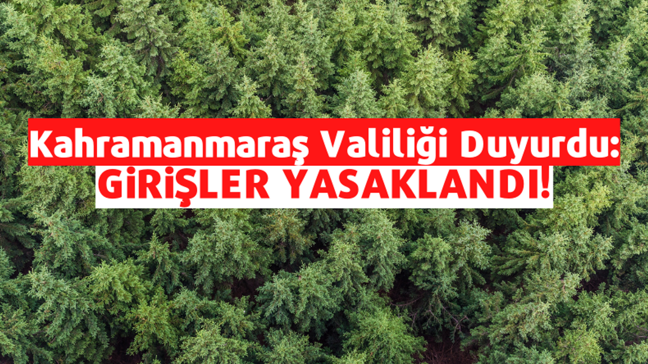 Valilik Duyurdu: Kahramanmaraş'ta Ormanlık Alanlara Giriş Yasaklandı!