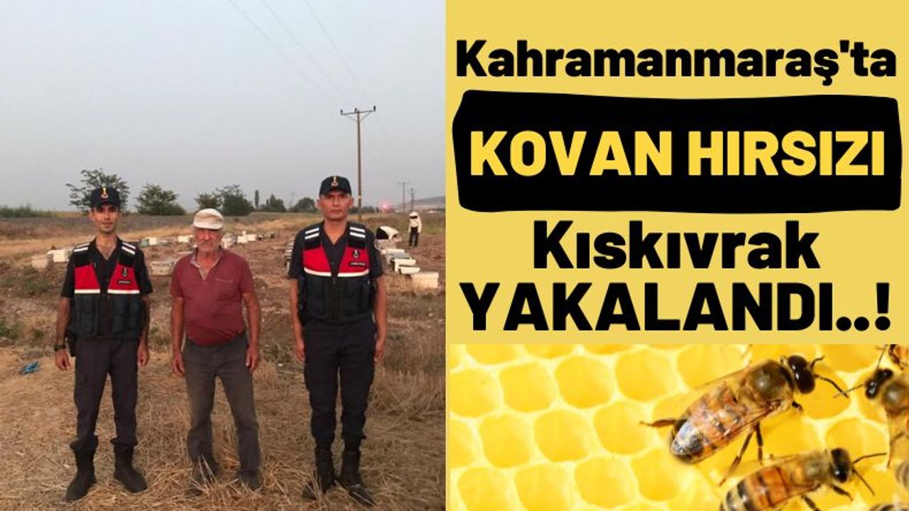 Kahramanmaraş'ta Arı Kovanlarını Çalan Hırsız Gözaltına Alındı!