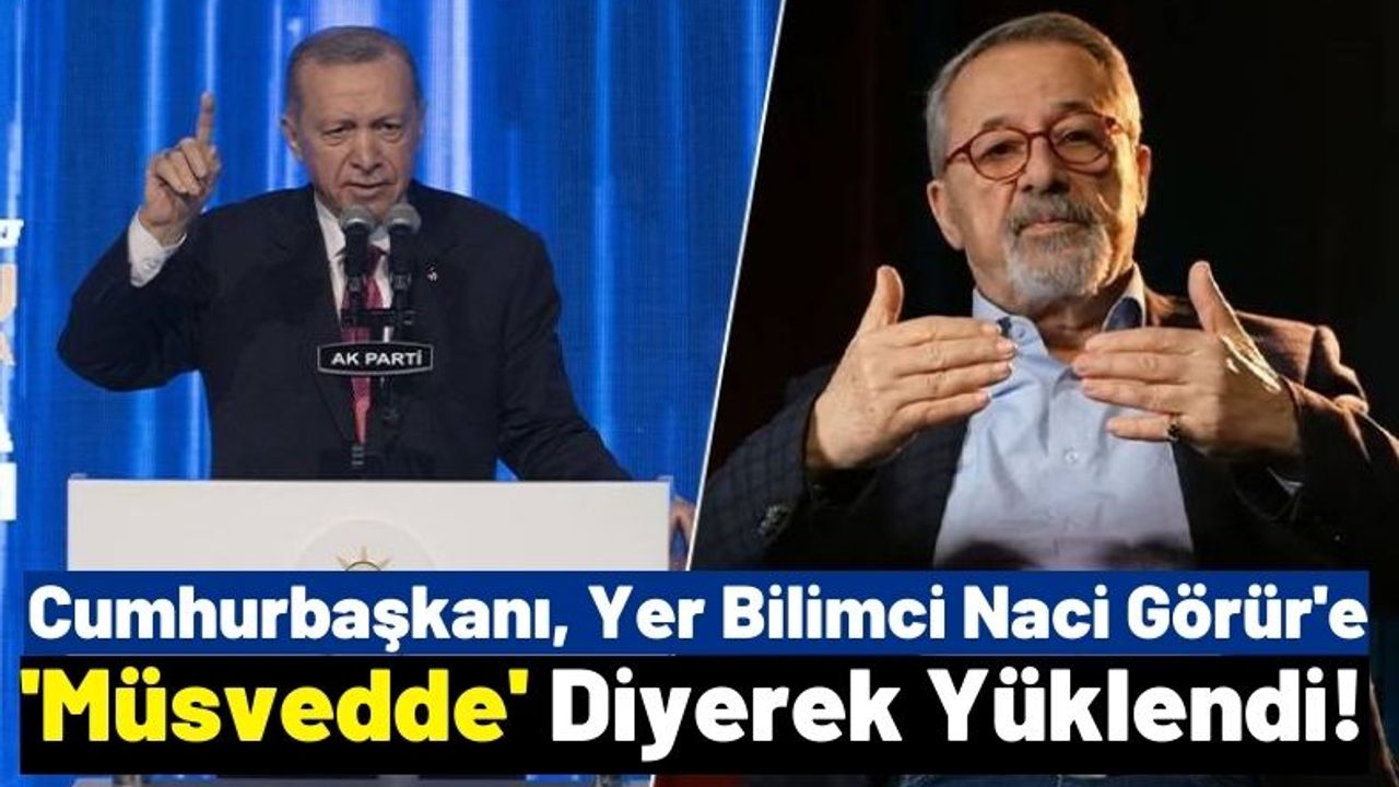 Cumhurbaşkanı Erdoğan 'Profesör Müsveddesi' Dedi, Naci Görür'den Açıklama Geldi!