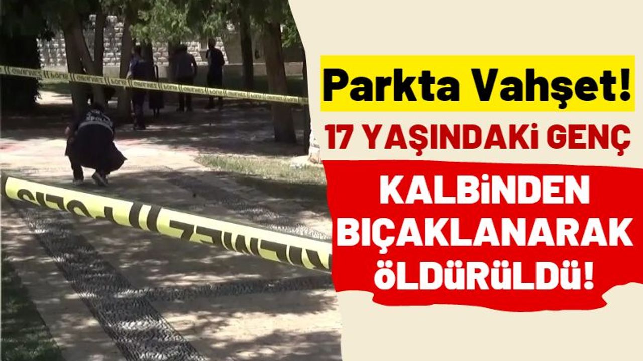 Parkta Kan Donduran Cinayet: Kalbinden Bıçaklanarak Öldürüldü!