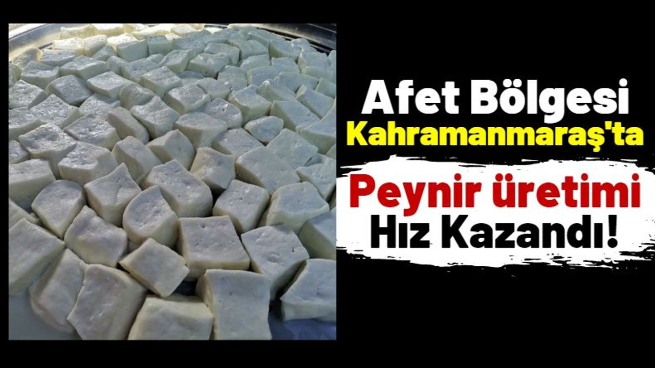 Kahramanmaraş'ta Peynir Üretimi Depremzedelerin Geçim Kaynağı!
