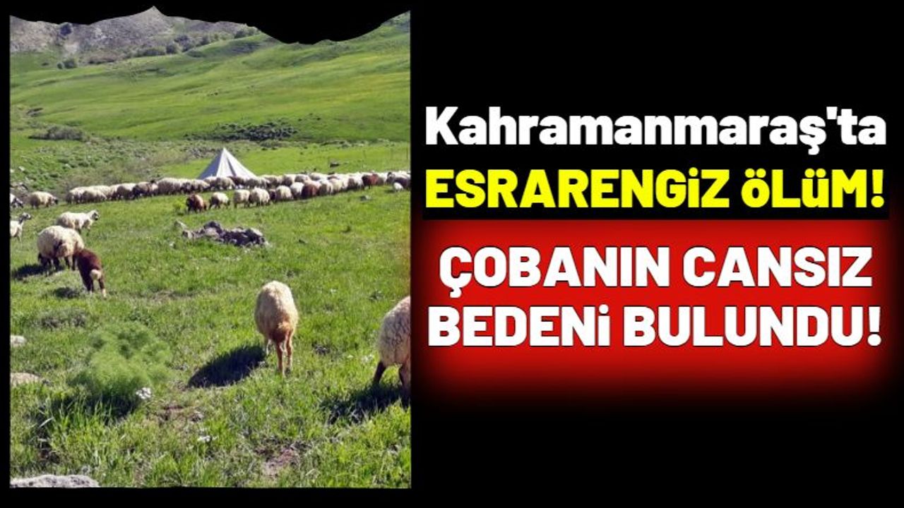 Kahramanmaraş'ta 52 Yaşındaki Çoban Ölü Bulundu!