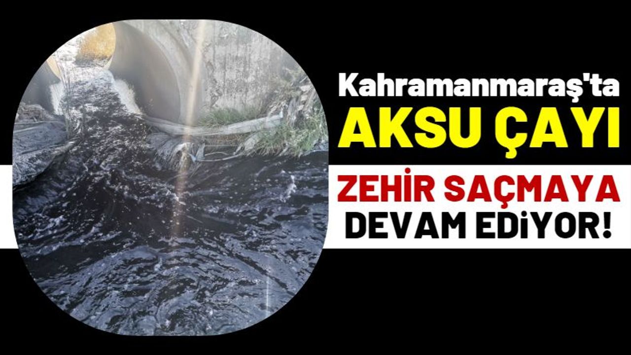 Kahramanmaraş'ın Kanayan Yarası 'Aksu Çayı' Halen Zehir Saçıyor!