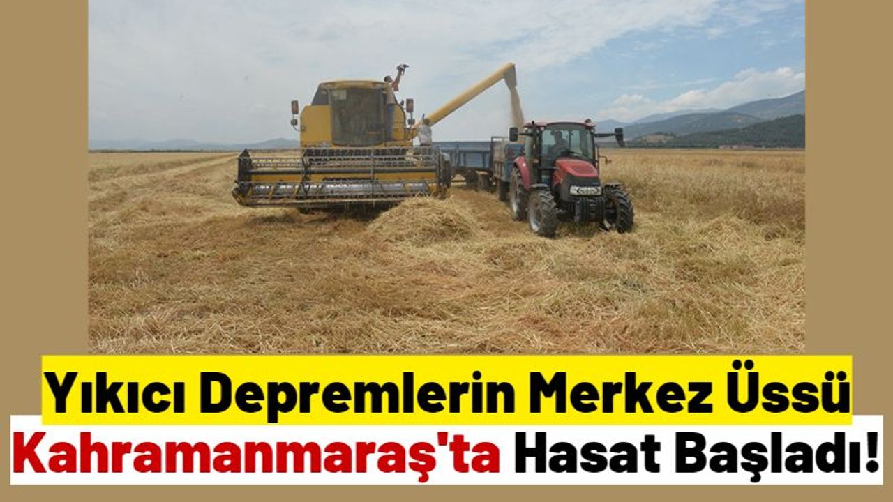 Afet Bölgesi Kahramanmaraş'ta Buğdaydan Rekolte Bekleniyor!