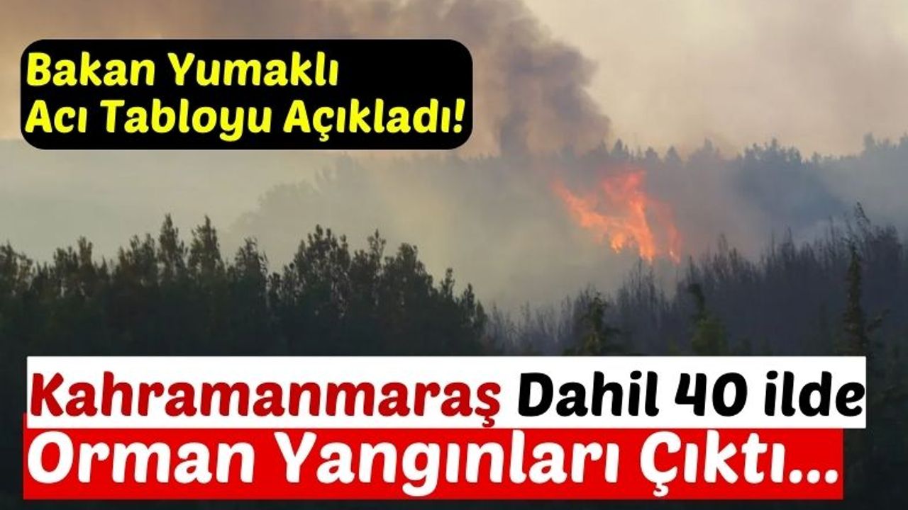 Kahramanmaraş Dahil 40 İlde 203 Ormanda Yangın Çıktı!