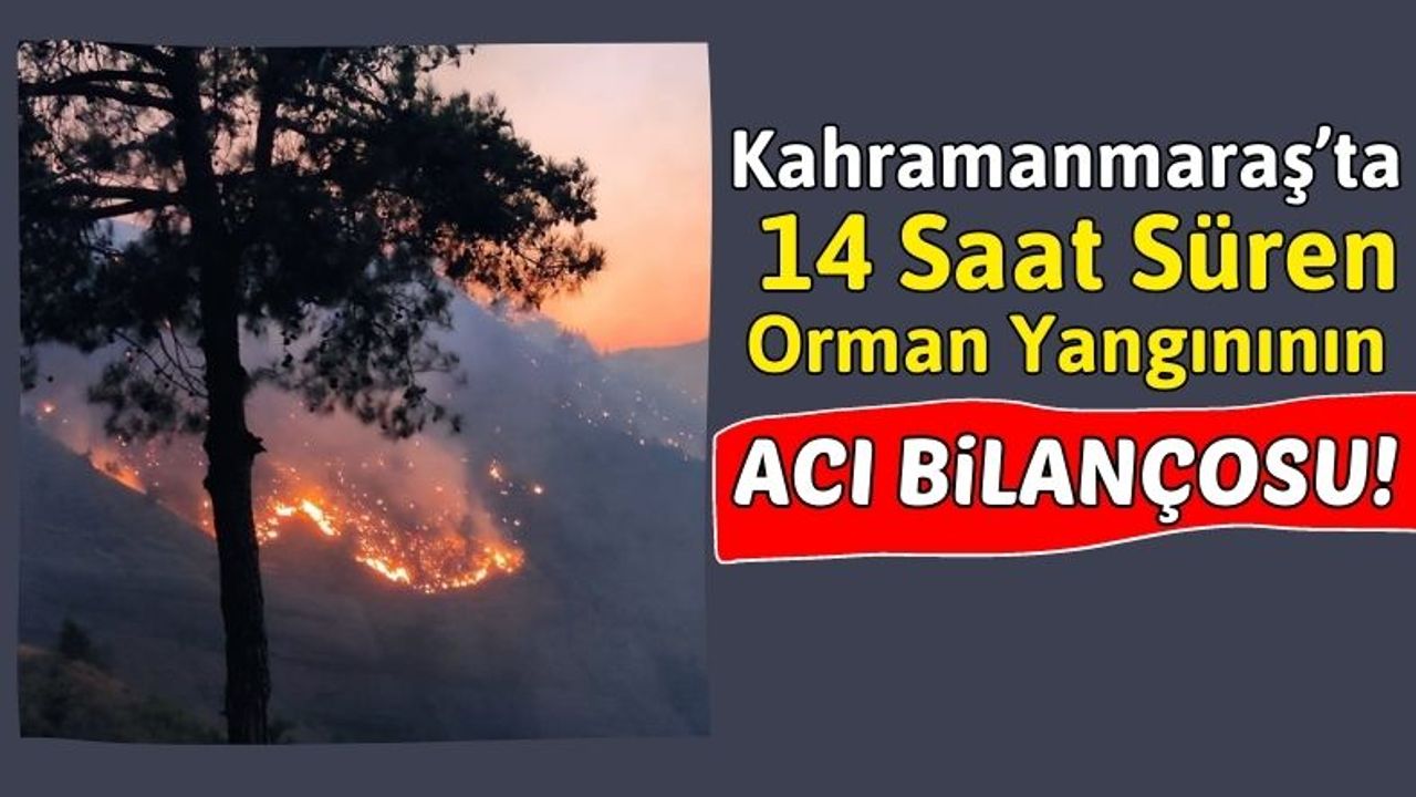 Kahramanmaraş'ta 100 Hektarlık Alan Orman Yangınında Küle Döndü!