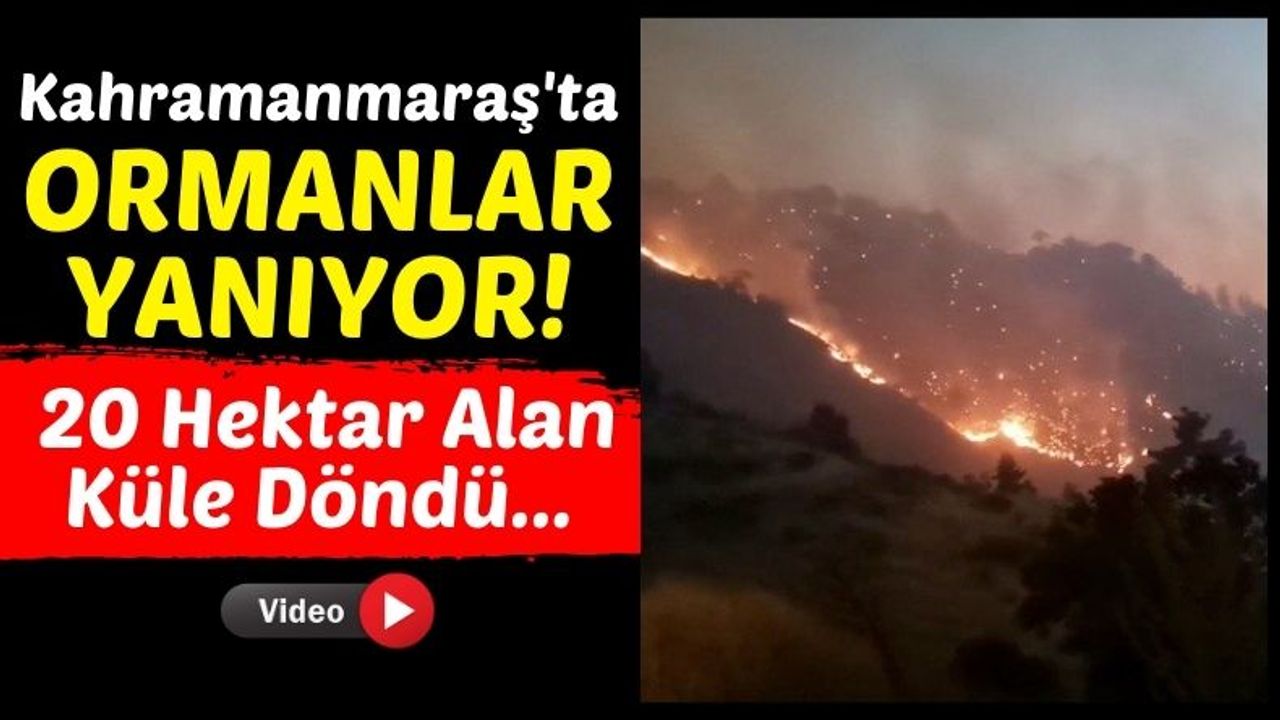 Kahramanmaraş'ta Yangın Felaketi: 20 Hektar Ormanlık Alan Kül Oldu!