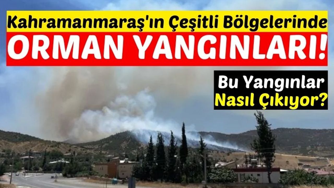 Kahramanmaraş'ta Her Gün Ormanlar Yanıyor! 28 Hektar Ormanlık Alan Kül Oldu!