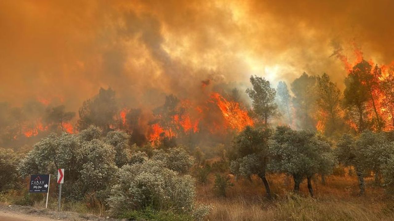 Bakan Tunç Açıkladı: Orman Yangınlarıyla İlgili 7 Kişiye Gözaltı!