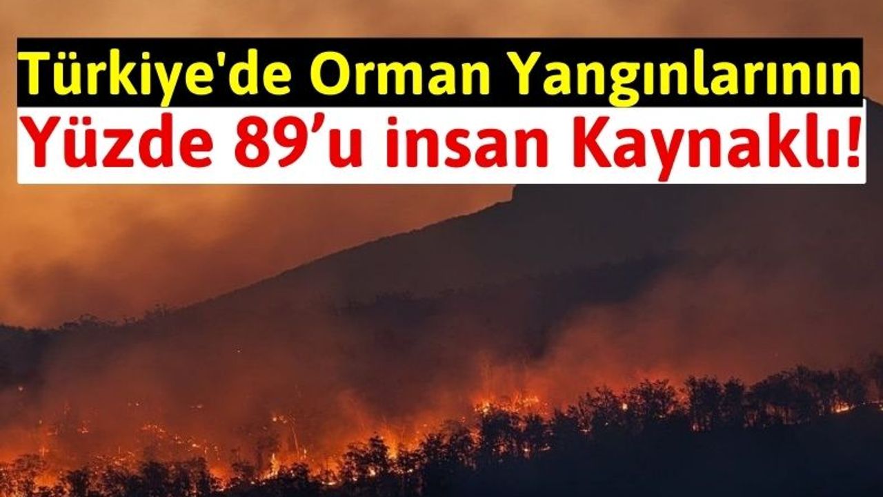 Türkiye'de Son 10 Günde 387 Orman Yangını Meydana Geldi!