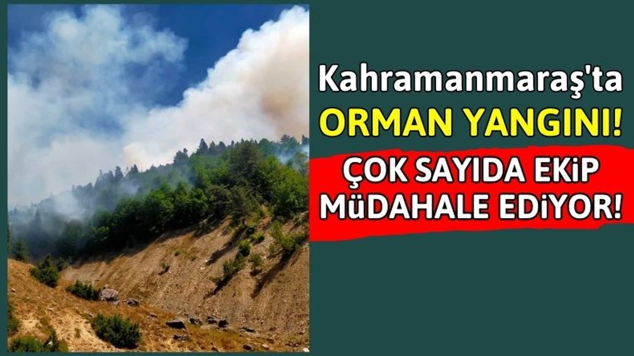 Kahramanmaraş'ta Ormanlar Yanıyor: Havadan Karadan Müdahale Ediliyor!