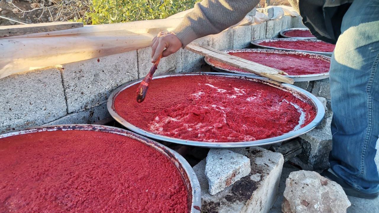 Kahramanmaraş'ta Kış Hazırlığı Sürüyor: Salça Üretiminde Yoğun Mesai!