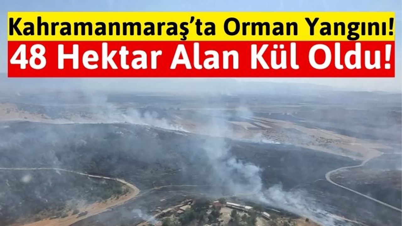 Kahramanmaraş'ta Orman Yangını 3 Saatlik Çalışmayla Söndürüldü!