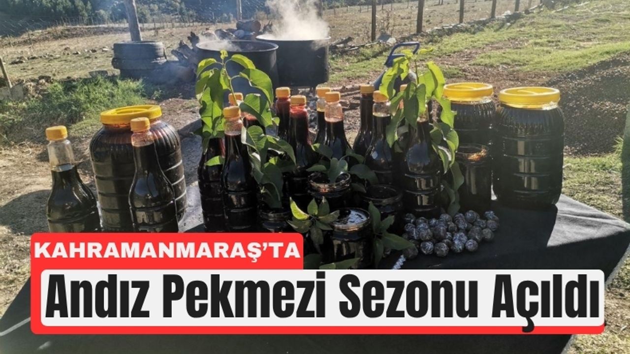 Kahramanmaraş’ın Şifa Mirası: Andız Pekmezi