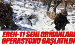 Bitlis ve Siirt'te Eren-11 Sehi Ormanları Operasyonu başlatıldı