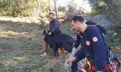 Kahramanmaraş'ta kayalıklarda mahsur kalan keçi kurtarıldı