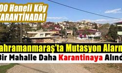 Kahramanmaraş'ta mutasyonlu virüs görülen bir köy karantinaya alındı