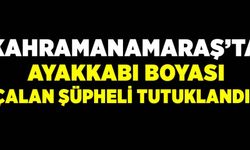 Kahramanmaraş'ta ayakkabı boyası çalan hırsızlık şüphelisi tutuklandı!