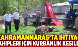 Kahramanmaraş'ta dernek tarafından kurbanlık kesildi!