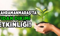 Kahramanmaraş'ta fidan dikimi etkinliği!